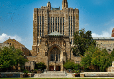 Untitled design (38) Untitled design (38)