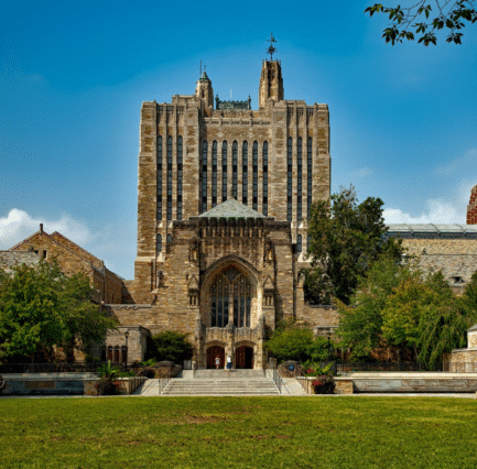 Untitled design (38)